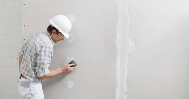 Best Fire-Damaged Drywall Repair  in Wadena, MN